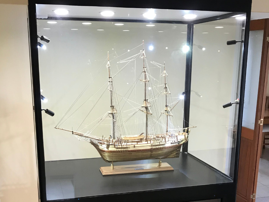Discover how a glass display cabinet with lights can transform your collection while keeping your treasures safe and secure with Showfront.