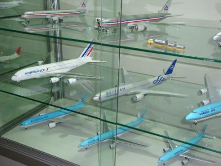 Showcase your collection with a Model Display Case
