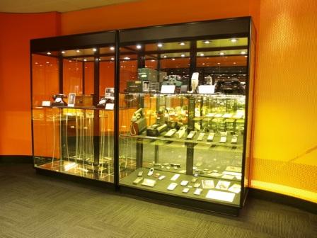 Museum-style Display Cases: Top 5 Things To Consider Before Buying 
