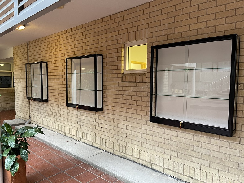 Top Solutions for School Trophy Display Cabinets